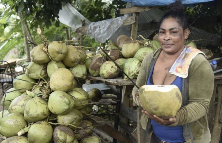 For 2 Decades This Mother Of 6 Selling Coconuts For A Living To Support Her Family