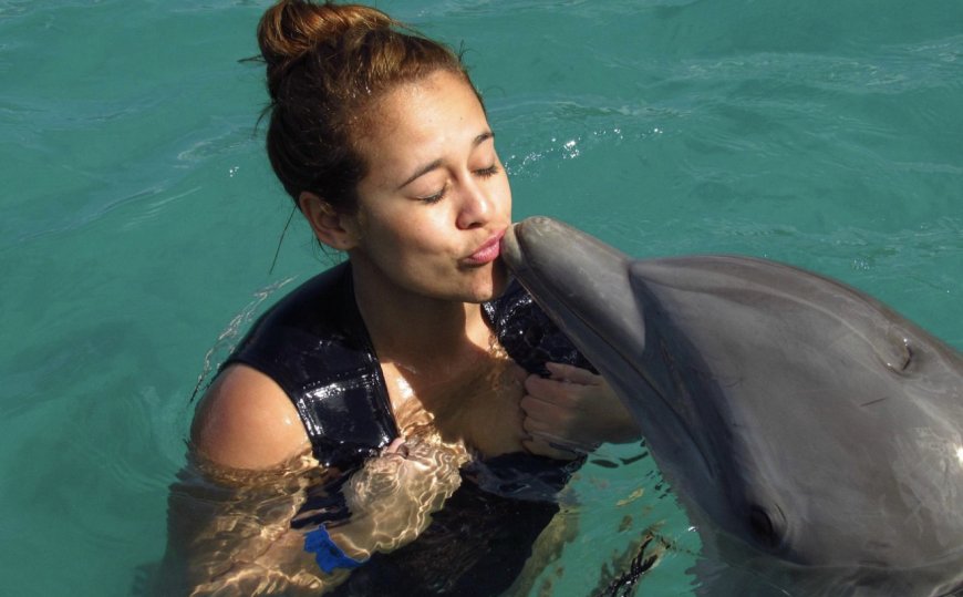 Dolphin Cove - Ocho Rios: Where You Can Swim with Dolphins and Stingrays