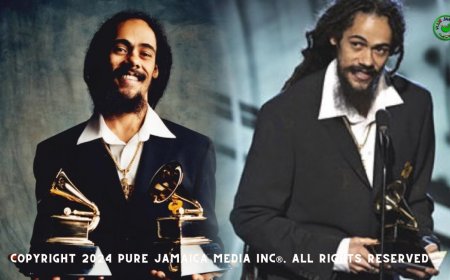 Damian Marley Is The Only Jamaican To Win 2 Grammys In One Night