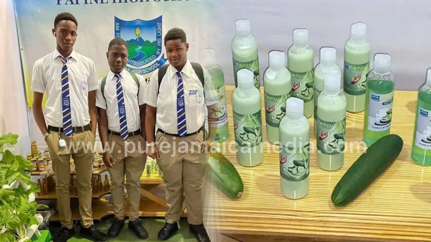 Papine High Students Who Created Cucumber-Based Shampoo & Lotion Is Seeking SRC Approval After Producing Products From Popular Vegetable
